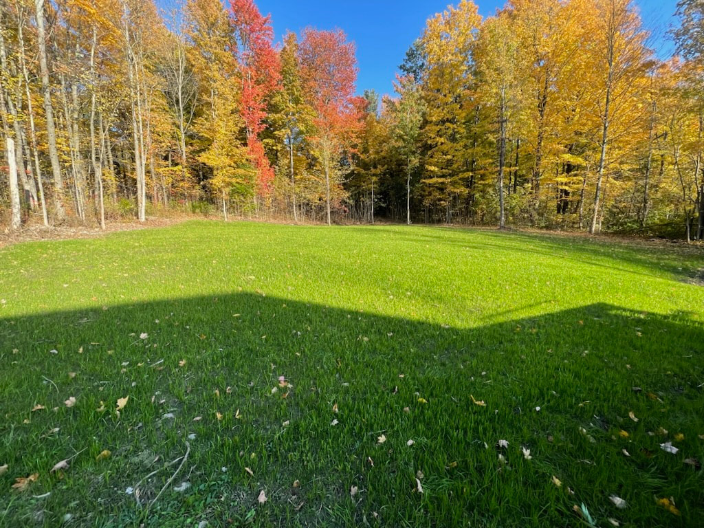 Freshly seeded lawn with fall foliage in Oswego County
